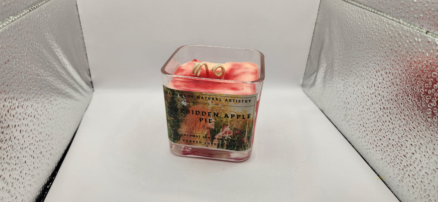 Bakery Candle apple pie 2 wick candle for wife southern vibes candle bakery scented candle Forbidden apple pie 11 lux cube candle