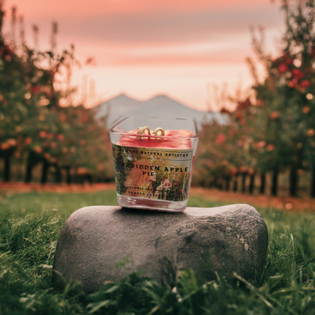 Bakery Candle apple pie 2 wick candle for wife southern vibes candle bakery scented candle Forbidden apple pie 11 lux cube candle
