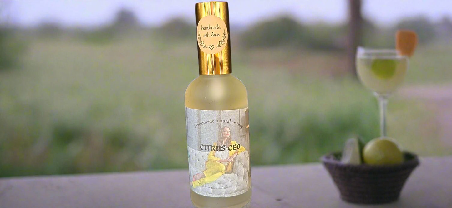 Room spray for living room house warming gift handcrafted roomspray for wife margarita and lemongrass scented aromatherapy room spray for girlfriend  citrus scented Citrus Ceo 3.8 oz lux room spray