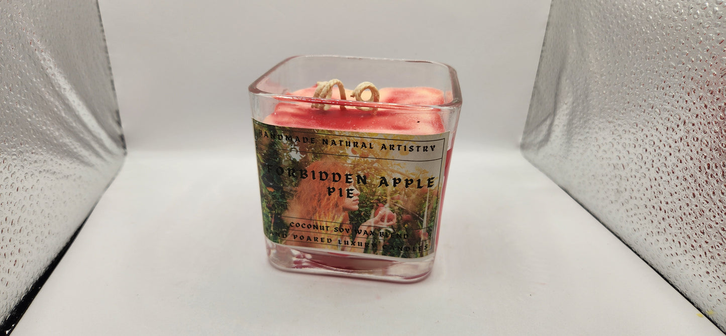 Bakery Candle apple pie 2 wick candle for wife southern vibes candle bakery scented candle  Forbidden apple pie 11 lux cube candle