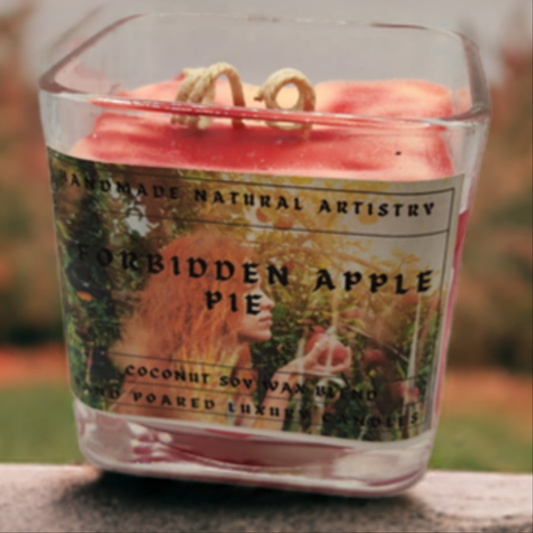 Bakery Candle apple pie 2 wick candle for wife southern vibes candle bakery scented candle  Forbidden apple pie 11 lux cube candle