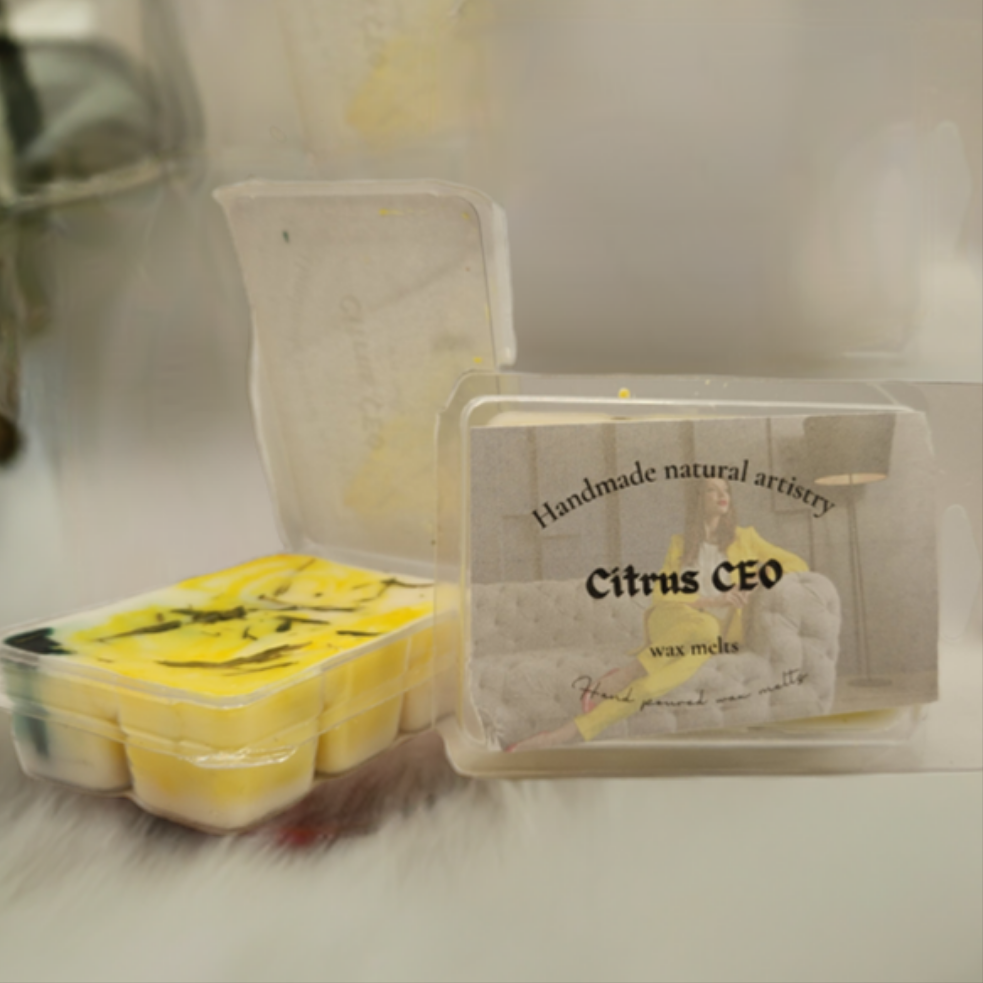 Wax melt for small room relaxation wax melt for apartment aesthetic trending Citrus wax melt CEO 2.5 oz wax melt