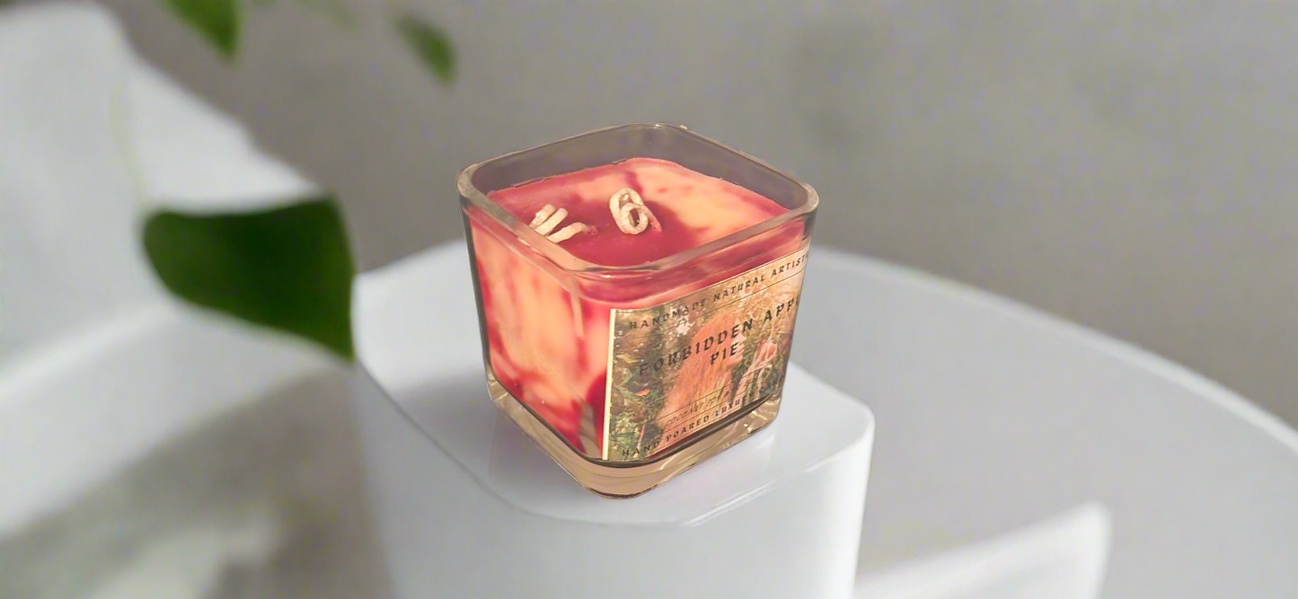 Bakery Candle apple pie 2 wick candle for wife southern vibes candle bakery scented candle  Forbidden apple pie 11 lux cube candle