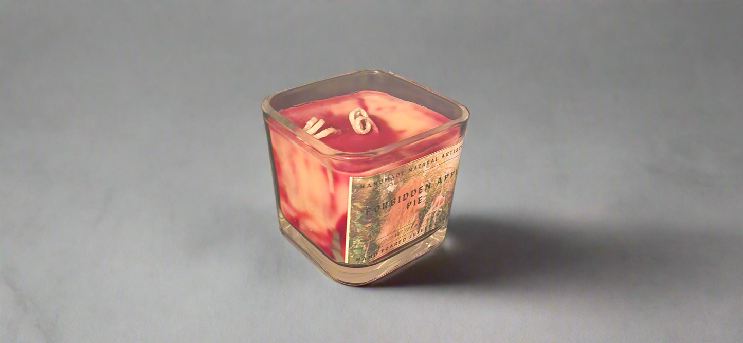 Bakery Candle apple pie 2 wick candle for wife southern vibes candle bakery scented candle  Forbidden apple pie 11 lux cube candle