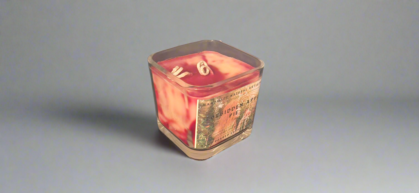 Bakery Candle apple pie 2 wick candle for wife southern vibes candle bakery scented candle  Forbidden apple pie 11 lux cube candle