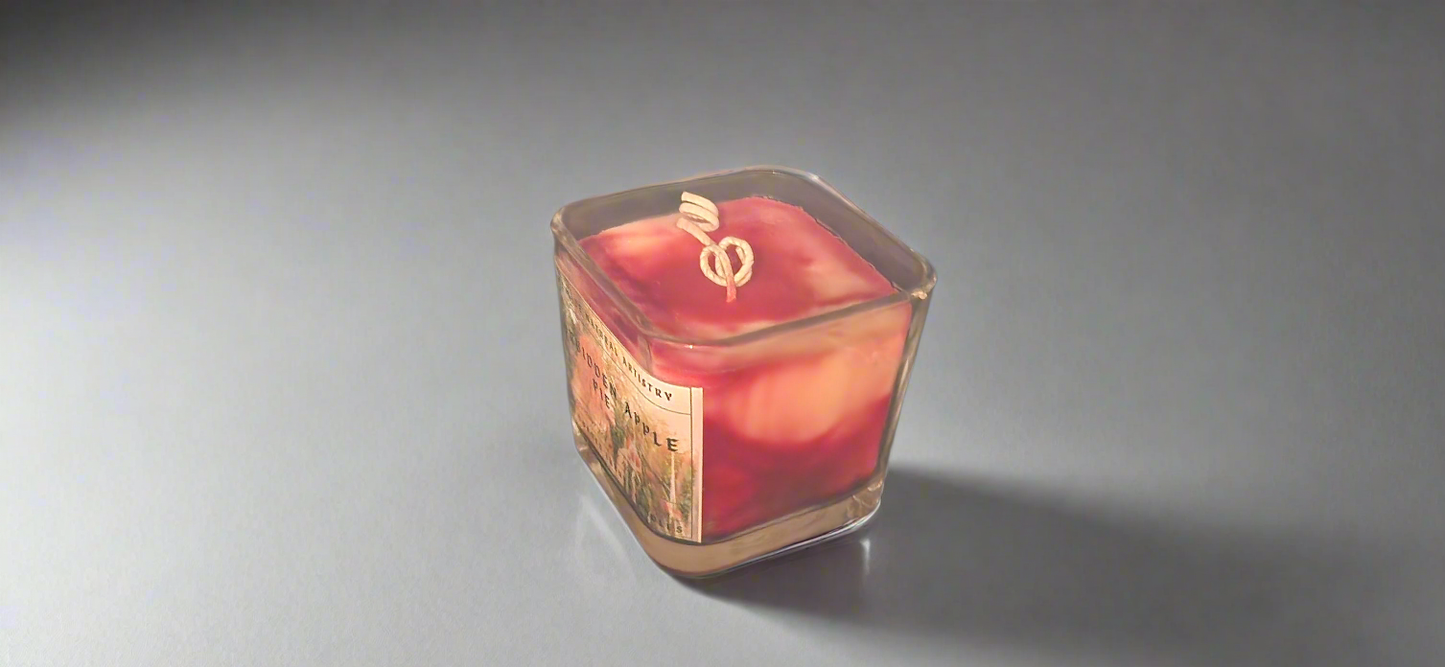 Bakery Candle apple pie 2 wick candle for wife southern vibes candle bakery scented candle  Forbidden apple pie 11 lux cube candle
