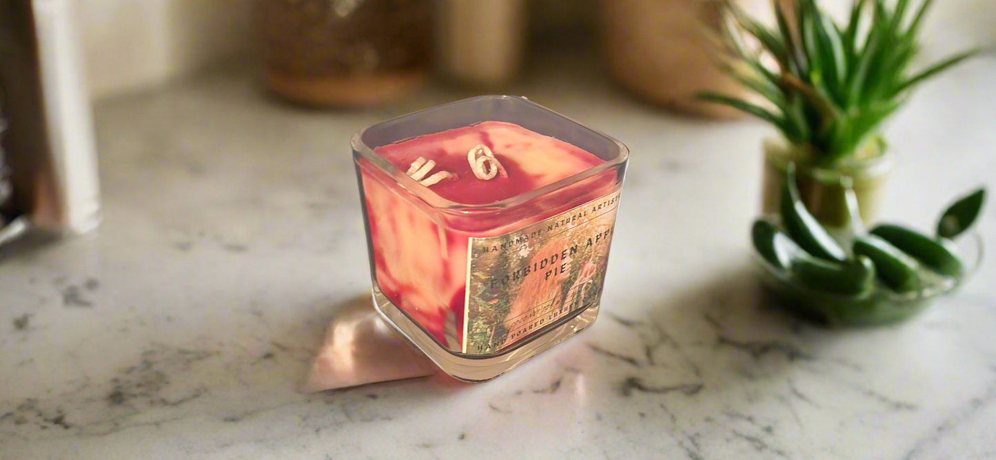 Bakery Candle apple pie 2 wick candle for wife southern vibes candle bakery scented candle  Forbidden apple pie 11 lux cube candle