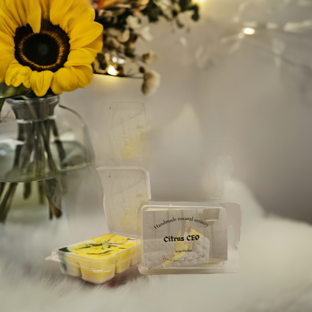 Wax melt for small room relaxation wax melt for apartment aesthetic trending Citrus wax melt CEO 2.5 oz wax melt