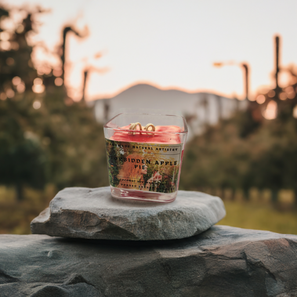 Bakery Candle apple pie 2 wick candle for wife southern vibes candle bakery scented candle  Forbidden apple pie 11 lux cube candle