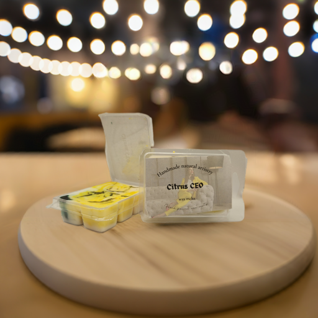 Wax melt for small room relaxation wax melt for apartment aesthetic trending Citrus wax melt CEO 2.5 oz wax melt