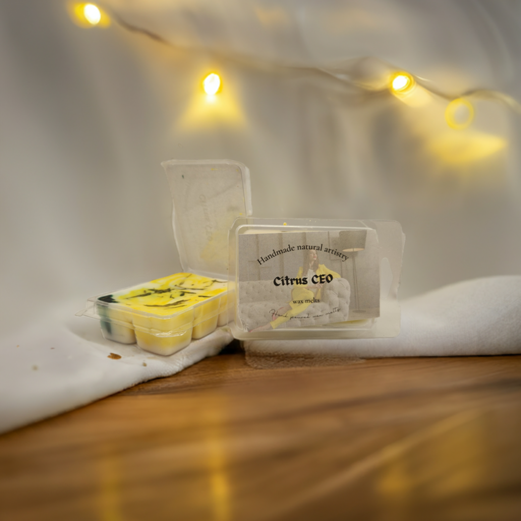 Wax melt for small room relaxation wax melt for apartment aesthetic trending Citrus wax melt CEO 2.5 oz wax melt