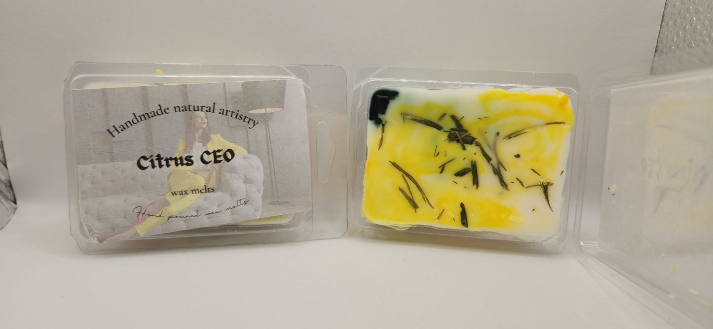 Wax melt for small room relaxation wax melt for apartment aesthetic trending Citrus wax melt CEO 2.5 oz wax melt