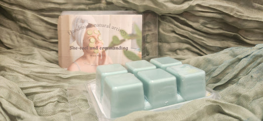 Cucumber Melon Wax Melt | Aromatherapy Spa Day at Home - BlissfulScents