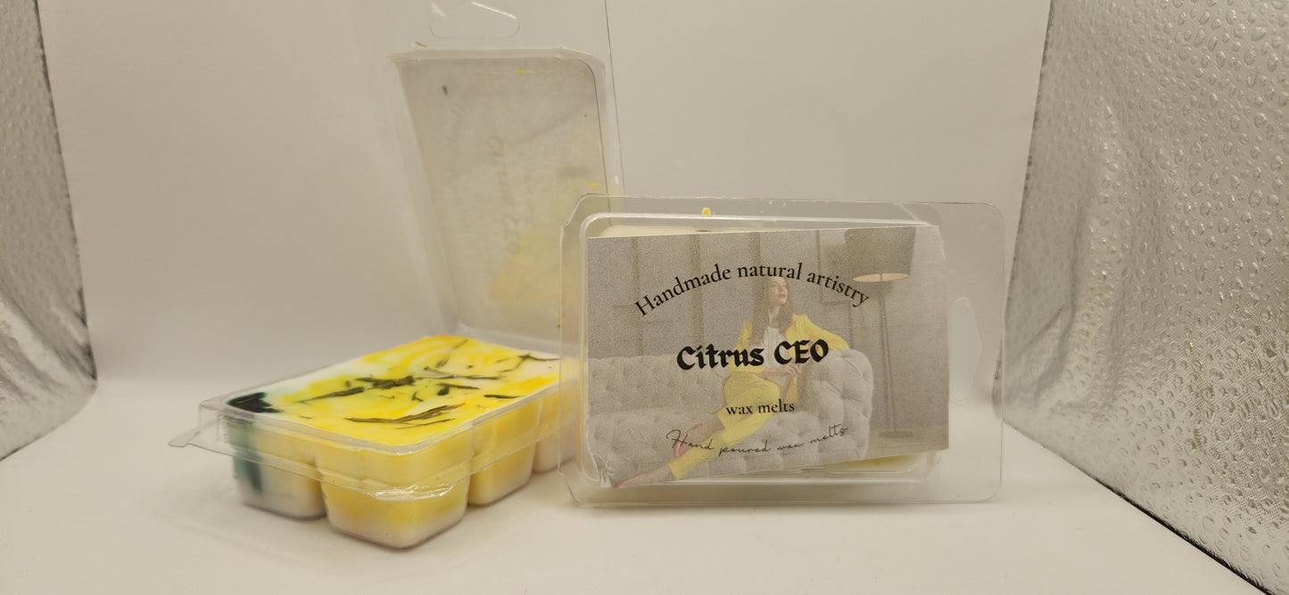 Wax melt for small room relaxation wax melt for apartment aesthetic trending Citrus wax melt CEO 2.5 oz wax melt